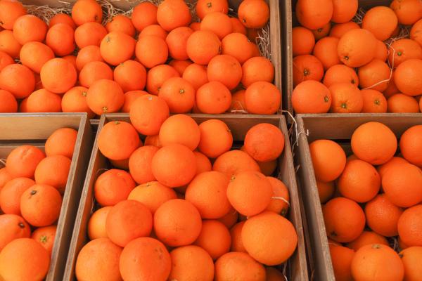 types of mandarins and varities