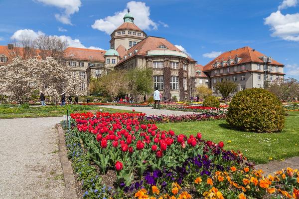 what is a botanical garden