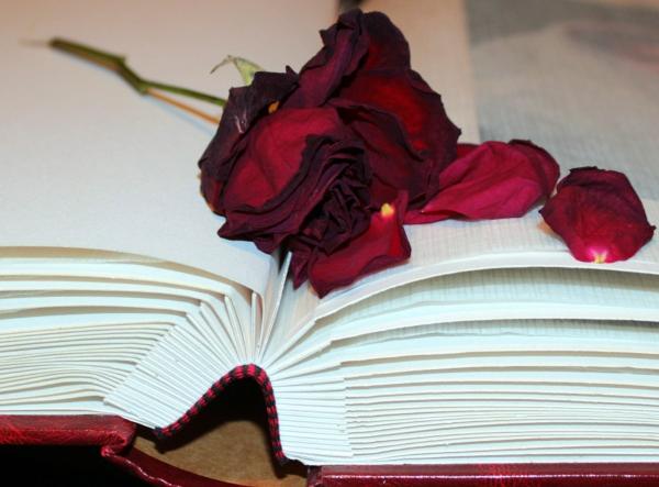 How to dry a rose - Drying a rose in a book