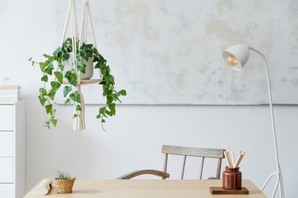 29 Stunning Indoor Hanging Plants to Transform Your Home